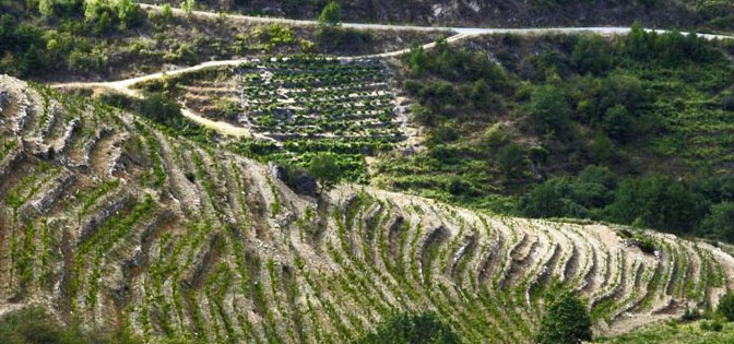 Dominio Do Bibei en Ribeira Sacra