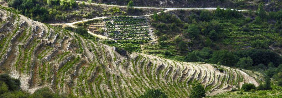 Dominio Do Bibei en Ribeira Sacra