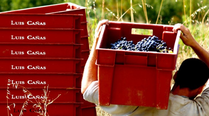 Bodegas Luis Cañas en Viavélez Madrid