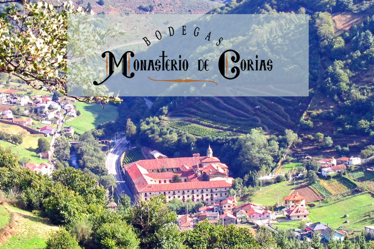 Bodegas Monasterio de Corias en Viavélez