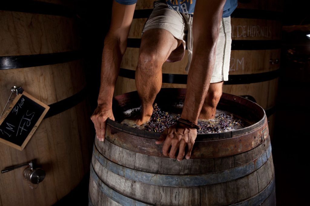 Los vinos de Bodegas Marañones en Viavélez Madrid