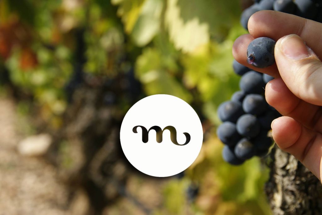 Celler El Masroig en Viavélez