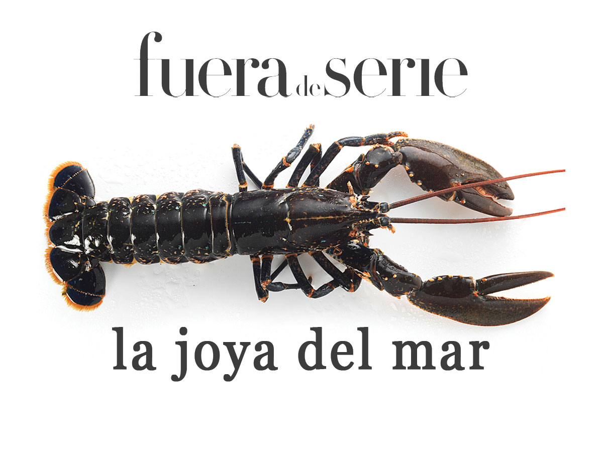 salpicón de marisco de Viavélez en Fuera de Serie