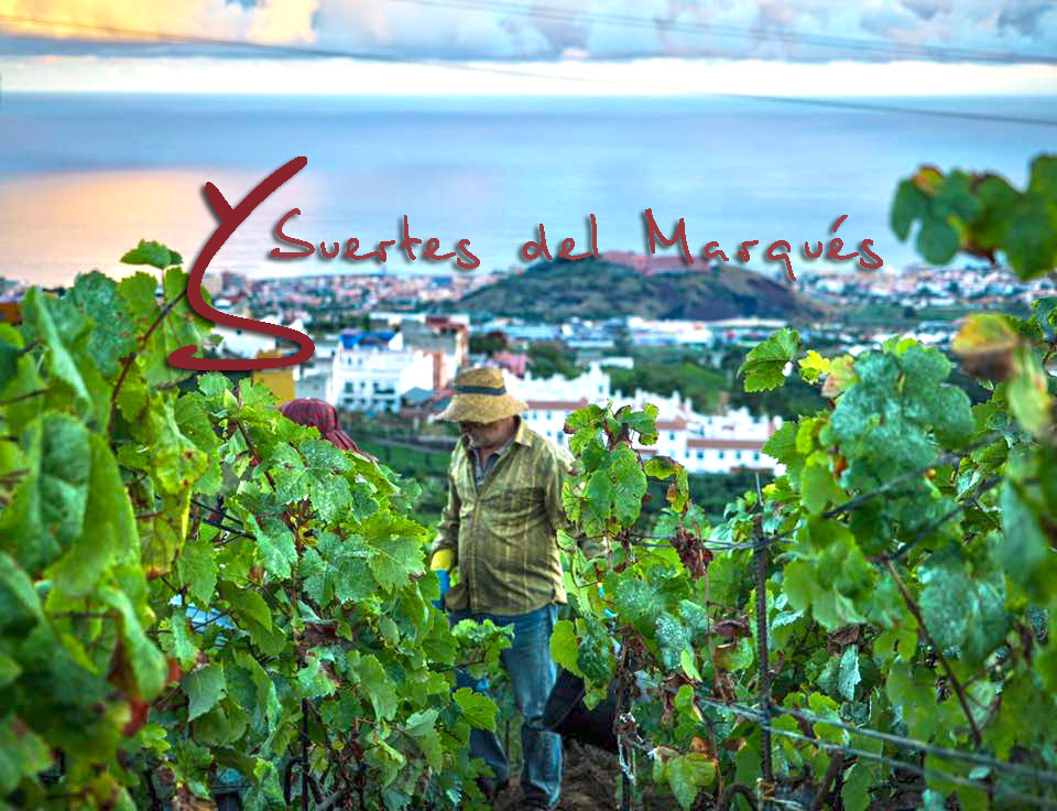 Bodega Suertes del Marqués en Viavélez