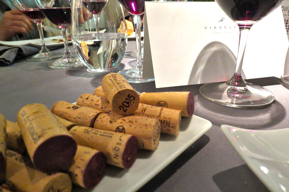 los vinos de Ronsel Do Sil en Viavélez
