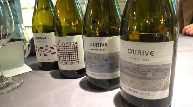 los vinos de Ronsel Do Sil en Viavélez