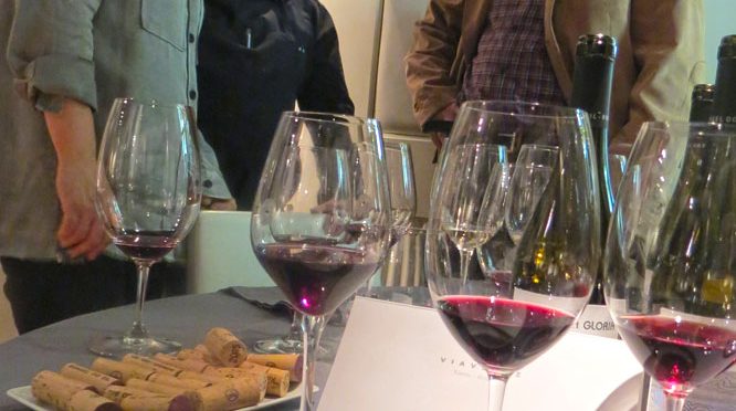 los vinos de Ronsel Do Sil en Viavélez