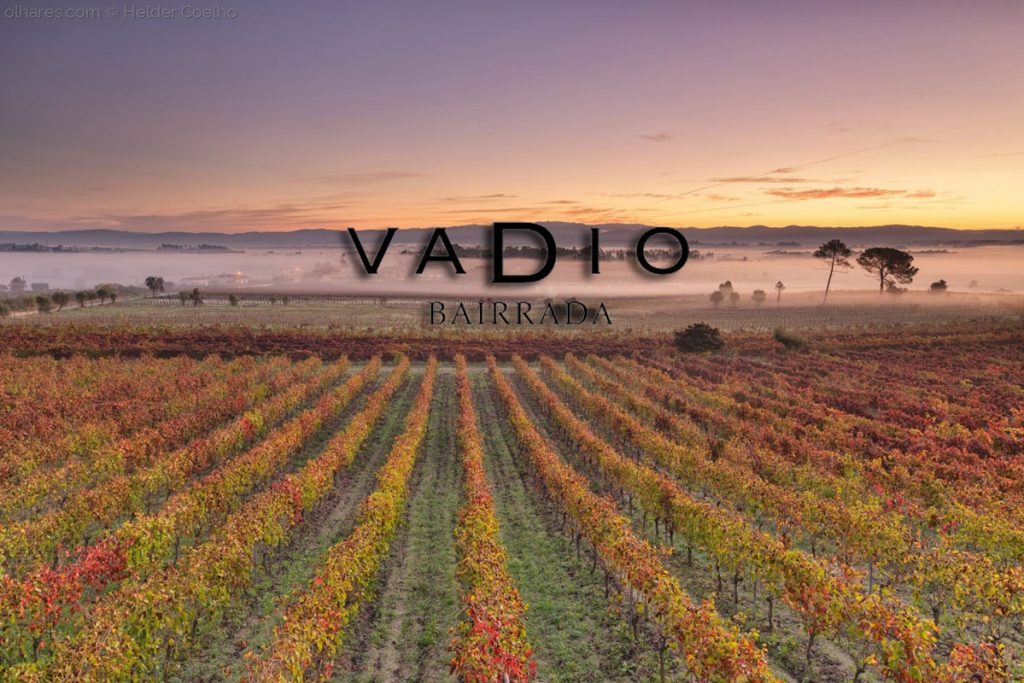 Vinos de bodega Vadio de la DOC Bairrada en Viavélez