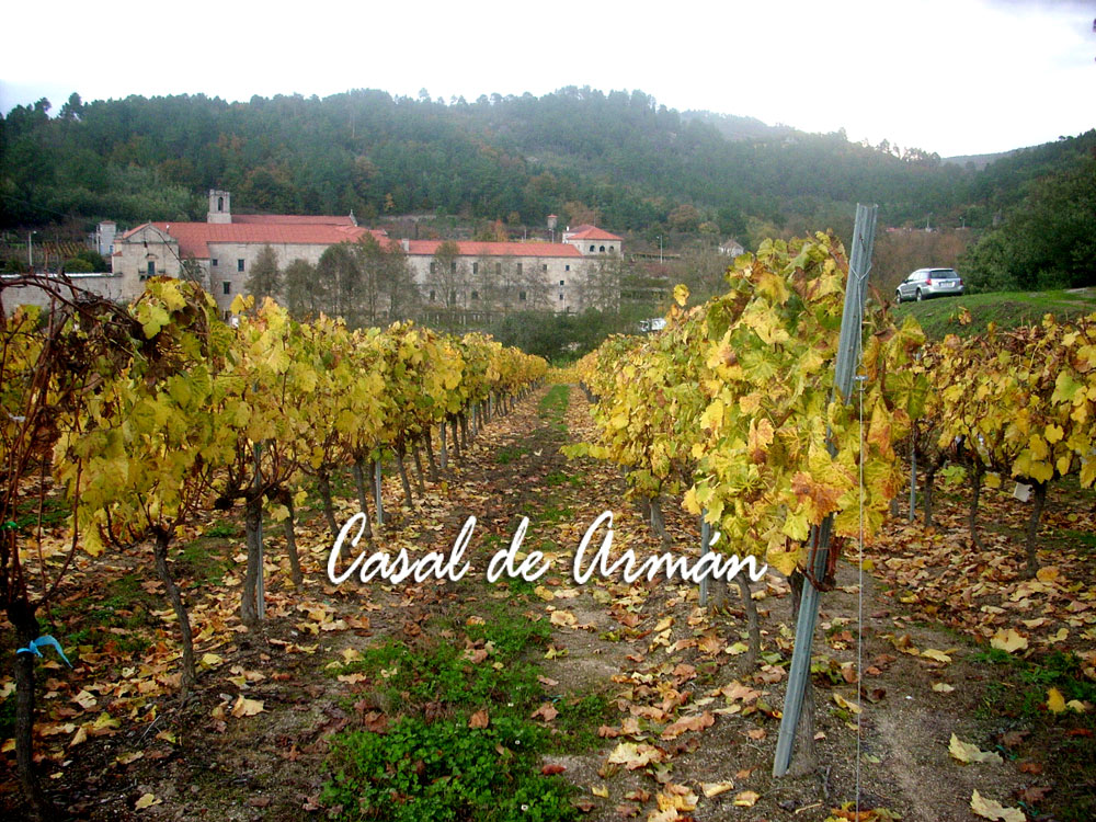Bodega Casal de Armán en Viavélez