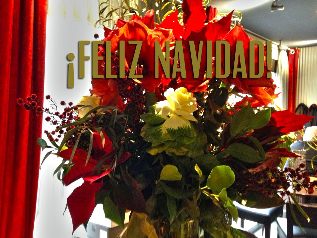 Feliz-Navidad_viavelez