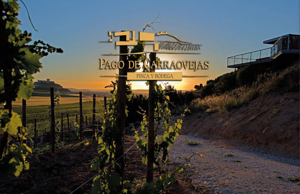 Cena con Bodega Pago de Carraovejas en Viavélez