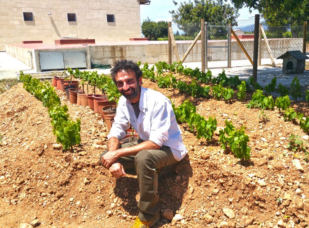 Celler Tianna Negre en Viavélez