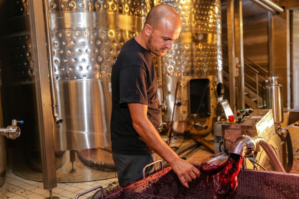 Celler Tianna Negre en Viavélez