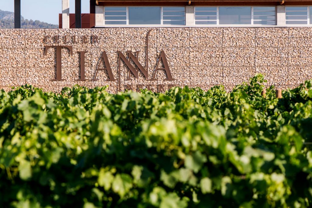 Celler Tianna Negre en Viavélez