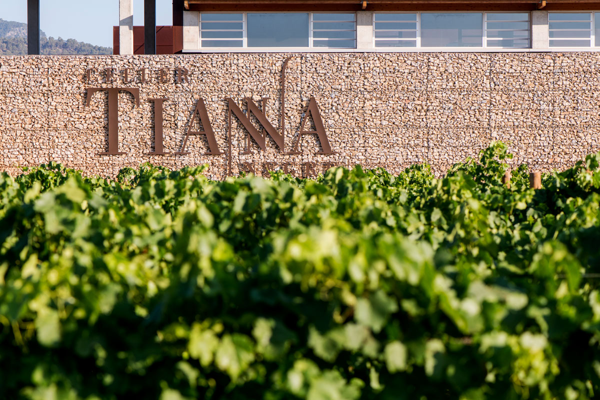 Celler Tianna Negre en Viavélez