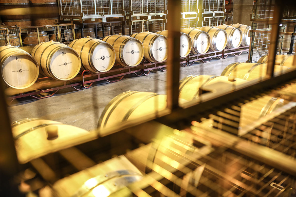 Celler Tianna Negre en Viavélez