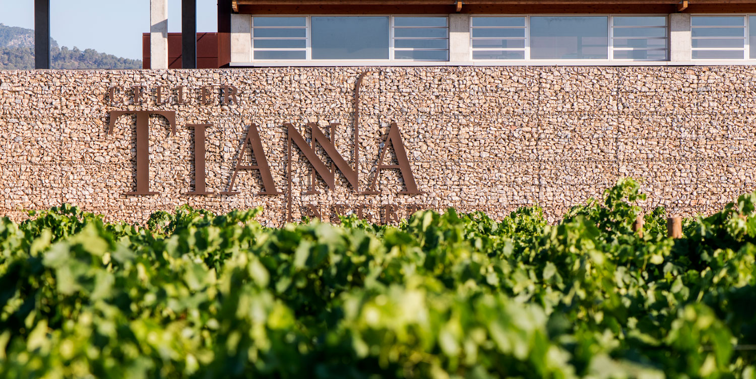 Celler Tianna Negre en Viavélez