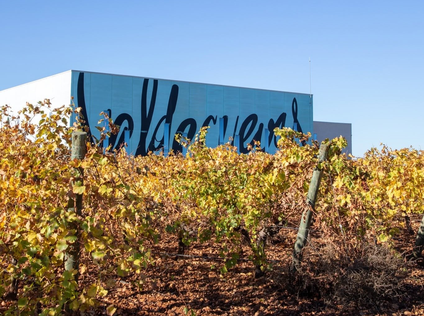 Bodegas Valdecuevas en cena con bodegueros en Viavélez Madrid